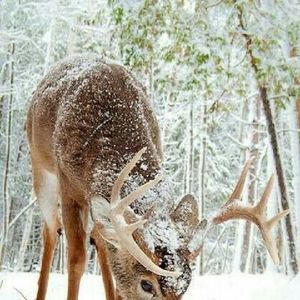 Meet your Posher, Kendra